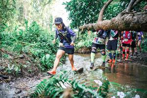 BIB: 
                            <button type="button" onclick="openModal(25517379)" class="btn btn-primary btn-sm float-right btn-popup" data-toggle="modal" data-target=".modal-high-quality">
                        <i class="fas fa-shopping-cart"></i> Add to Cart
                    </button>
                                            <button type="button" onclick="isThisMe(25517379, true)" class="btn btn-success btn-sm float-right btn-popup btn-isme hidden" data-toggle="tooltip" data-placement="bottom" title="นี่คือรูปของคุณใช่ไหม คลิกที่นี่เพื่อเอาเข้าอัลบั้ม">
                        <i class="fas fa-plus"></i> Add to album
                    </button>
                    <button type="button" onclick="isThisMe(25517379, false)" class="btn btn-warning btn-sm float-right btn-popup btn-isnotme hidden">
                        <i class="fas fa-ban"></i> Remove from album
                    </button>